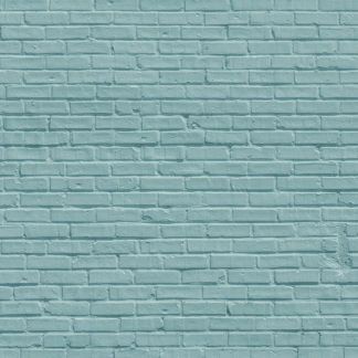 WALL13 Colour Brick Wall